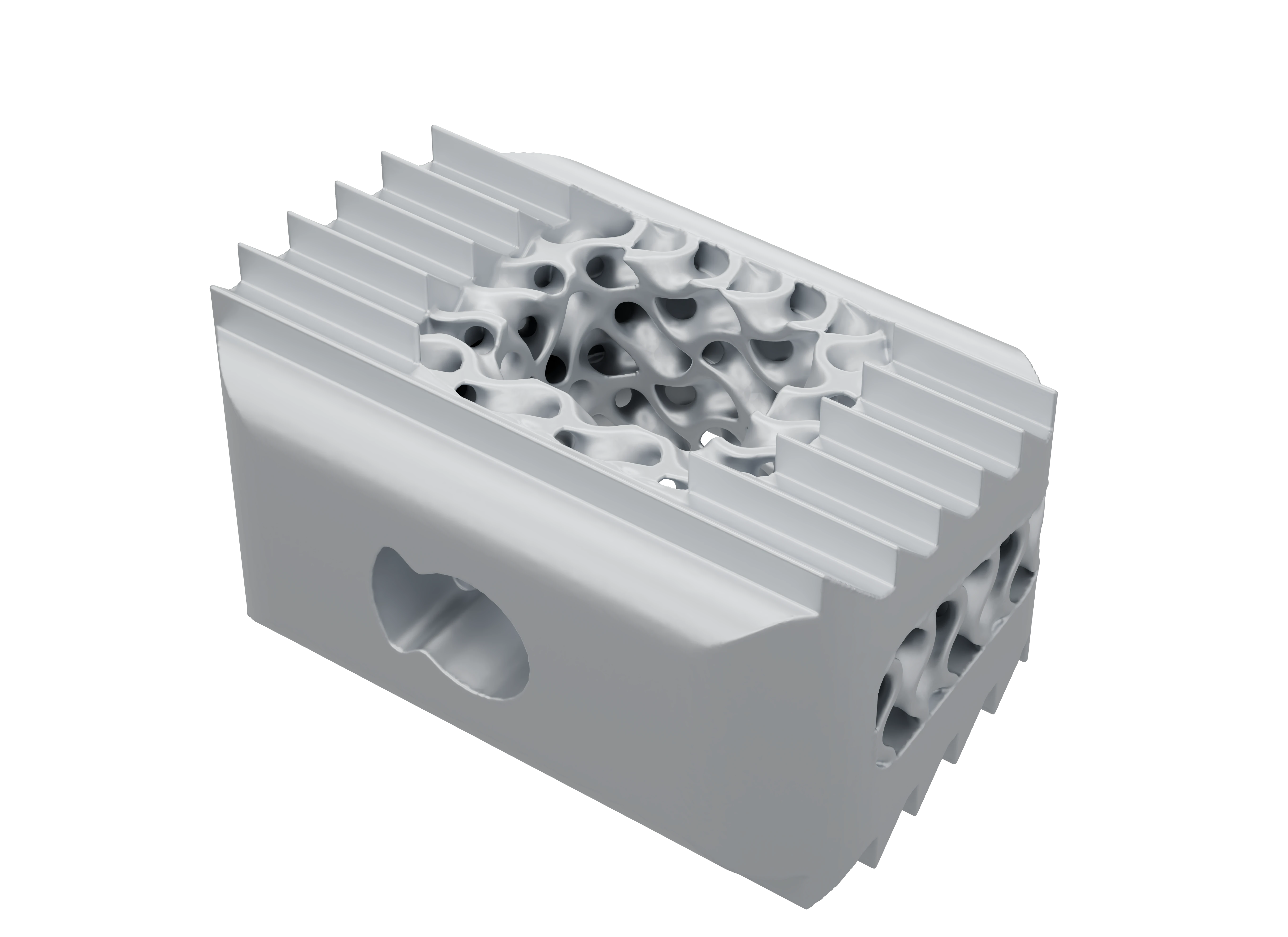 ViCage interbody fusion cage in raw titanium